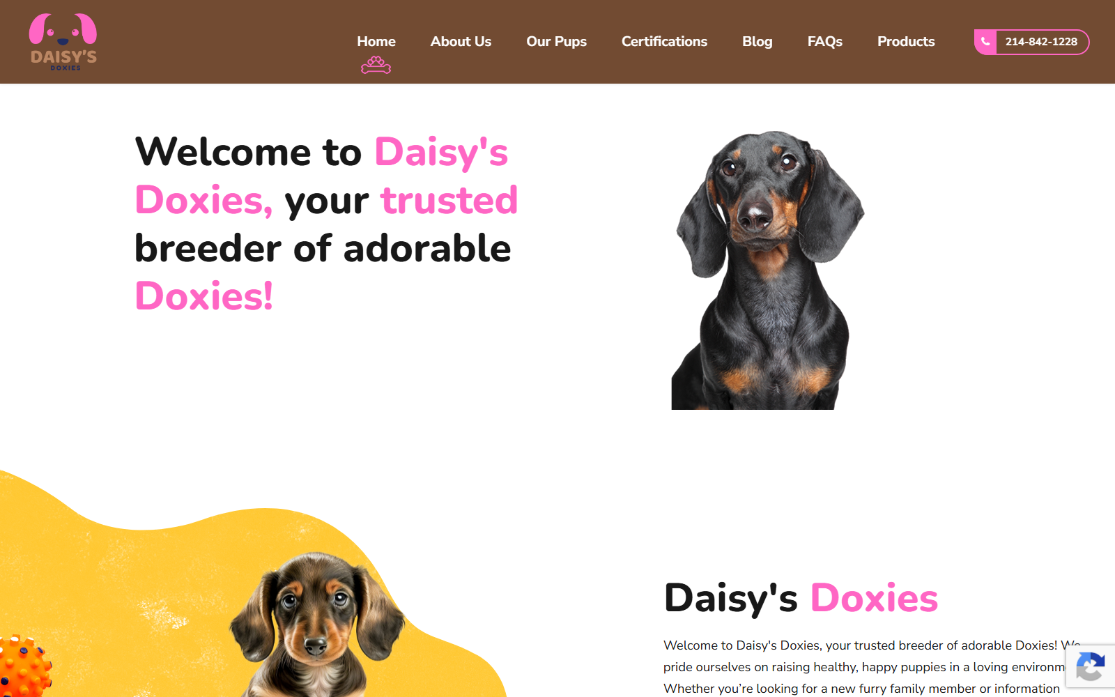 Daisy Doxies — before
